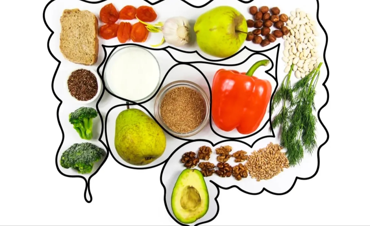 Why Your Gut Matters: Digestive-Friendly Foods Hiding in Your Grocery Basket