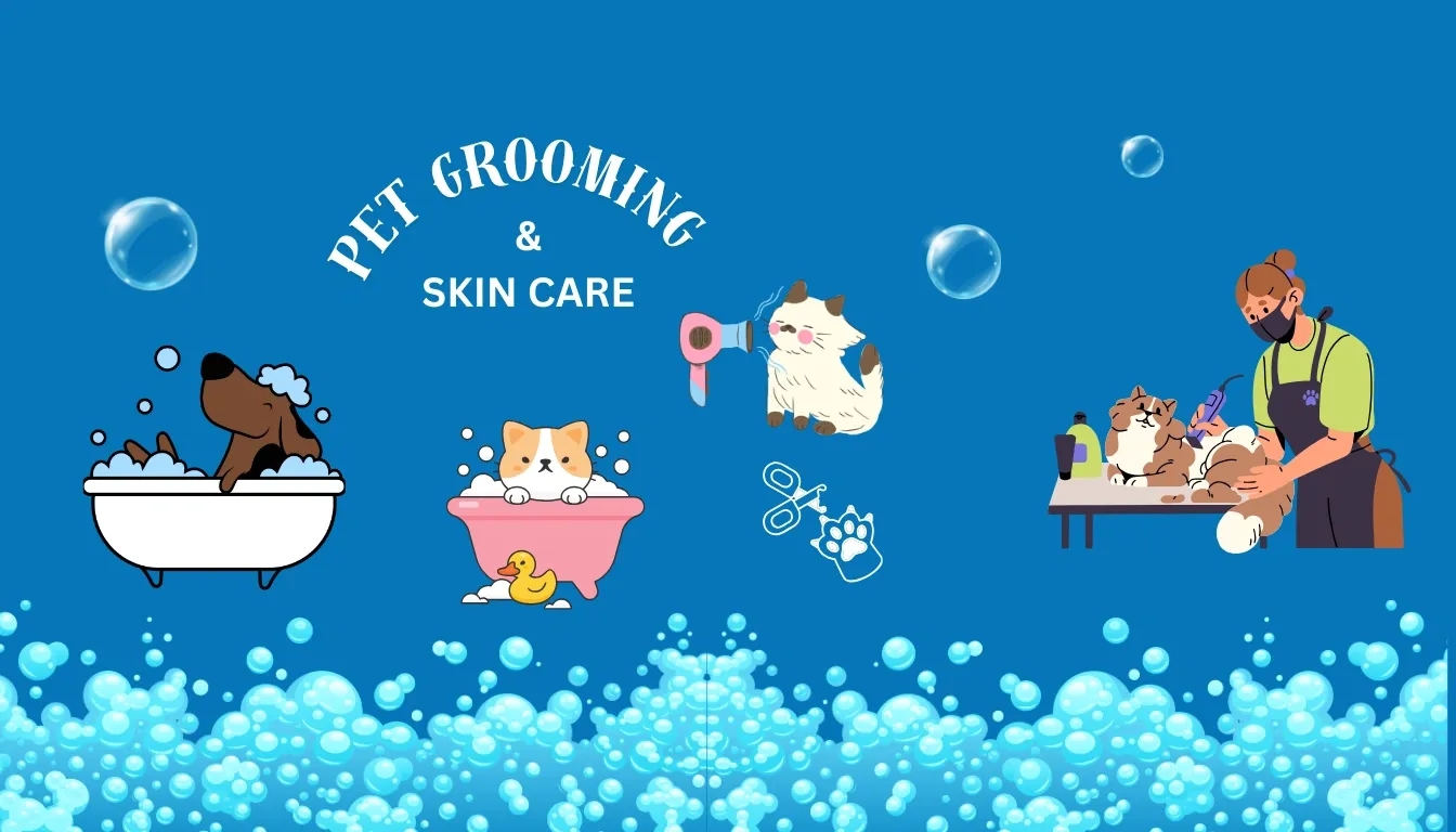 Grooming and Skin Care – More Than Just Looking Good