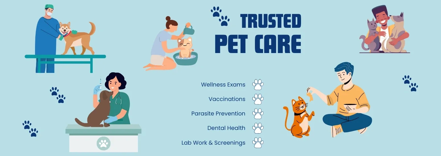 Early Detection, Lifelong Protection – Why Preventive Care Matters for Pets
