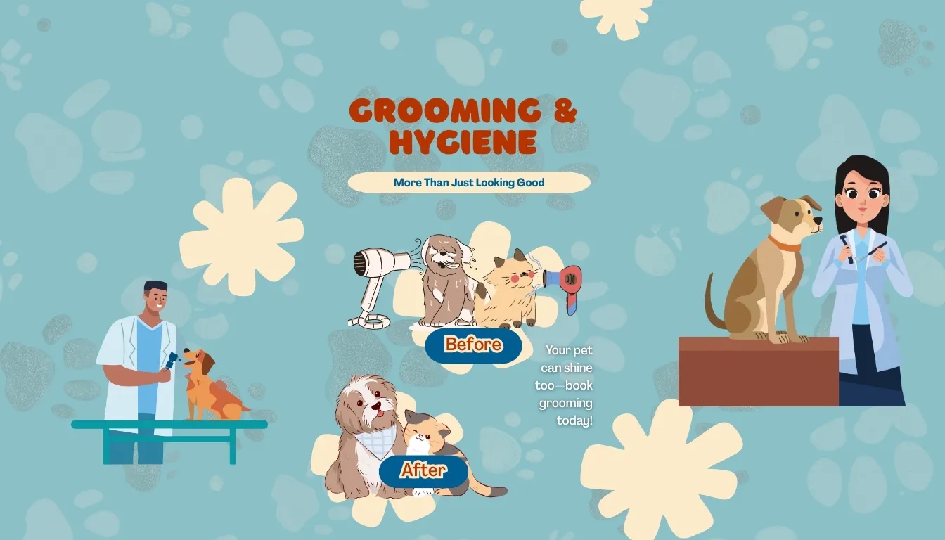 Grooming & Hygiene – More Than Just Looking Good